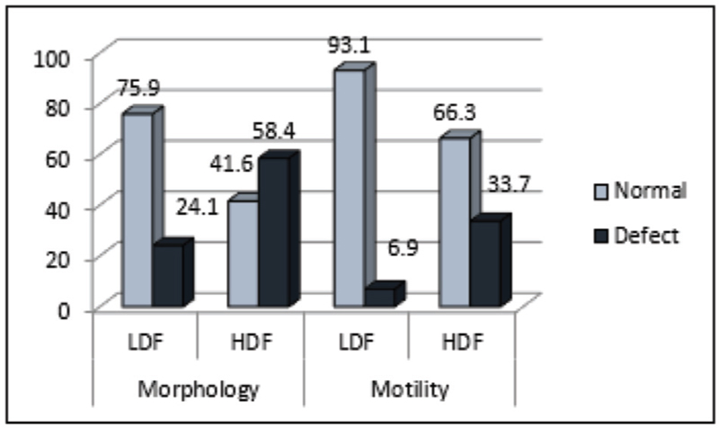 Percentage distribution of motility and morphology status among patients with high and low DNA fragmentation.