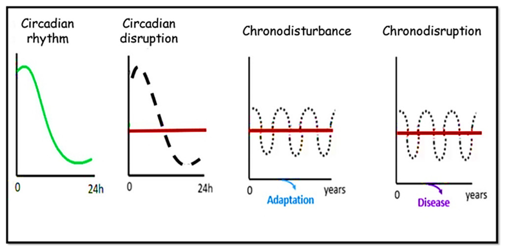 Concept of circadian disruption, chronodisturbance and chronodisruption (Modified from https://doi.org/10.3390/toxins12030151).