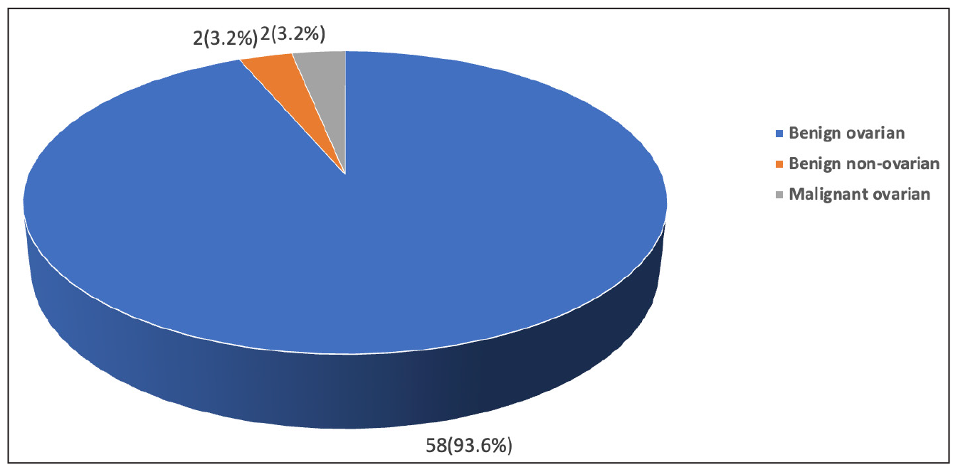 Histopathological categorisation of adnexal lesions in the study cohort (n = 62).