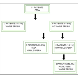 Article figure